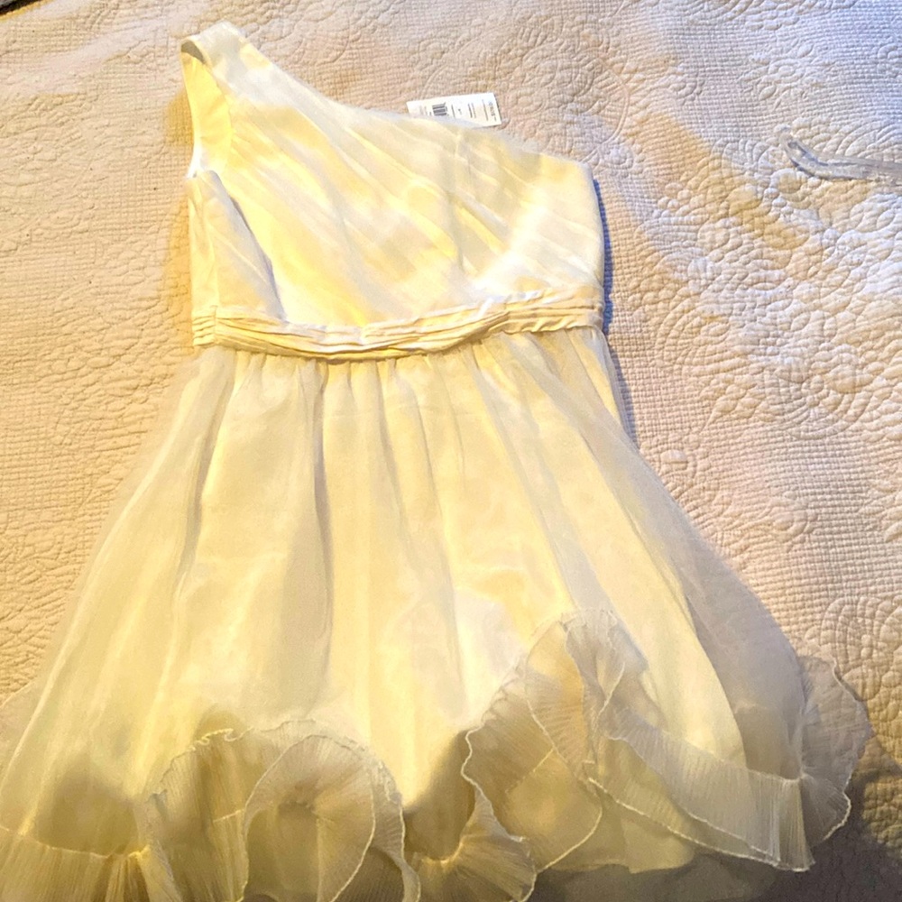 Max and Cleo size 4 formal dress